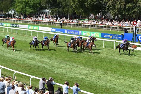 newmarket race cards|All Races at Newmarket .